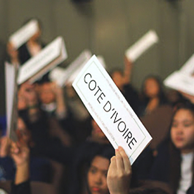 Read more about the article Undergraduate – Diplomacy and International Affairs
