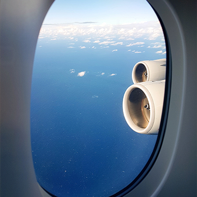 Read more about the article Undergraduate – Travel and Tourism Management